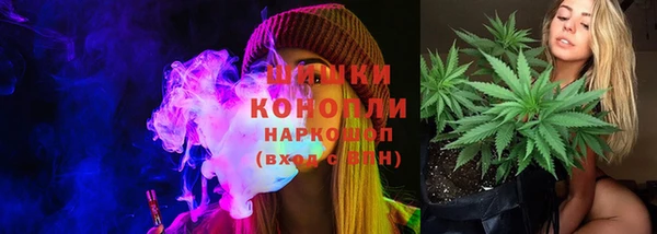 PSILOCYBIN Белокуриха